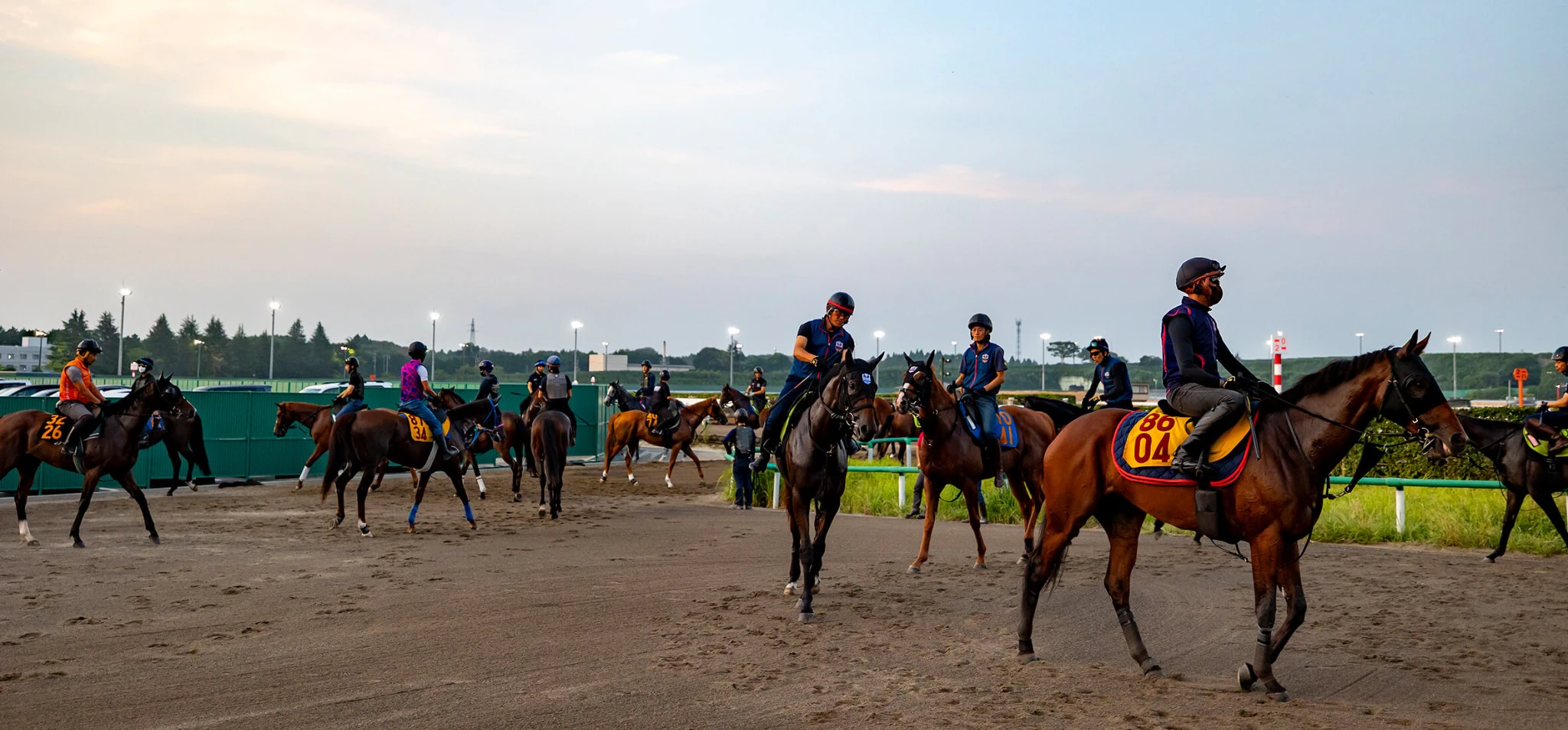 調教前に待機する競走馬と騎乗者