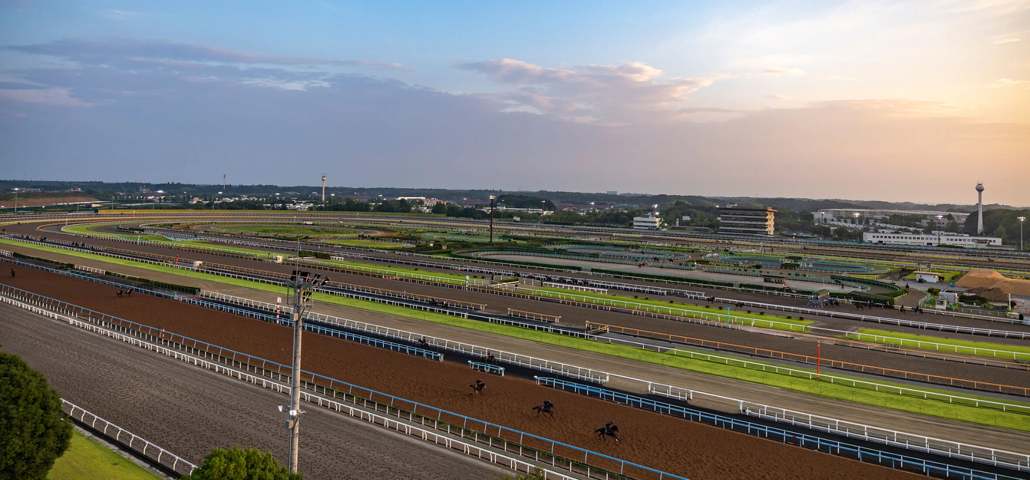 夕暮れの競馬場と調教中の競走馬